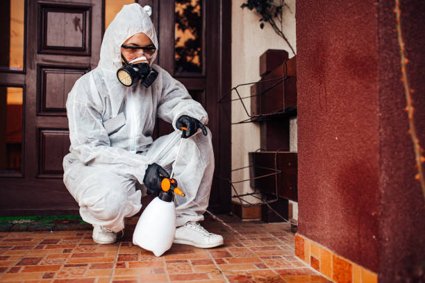 Reliable Wasp Removal contractor in Dagsboro, DE by Show Me Pest Control